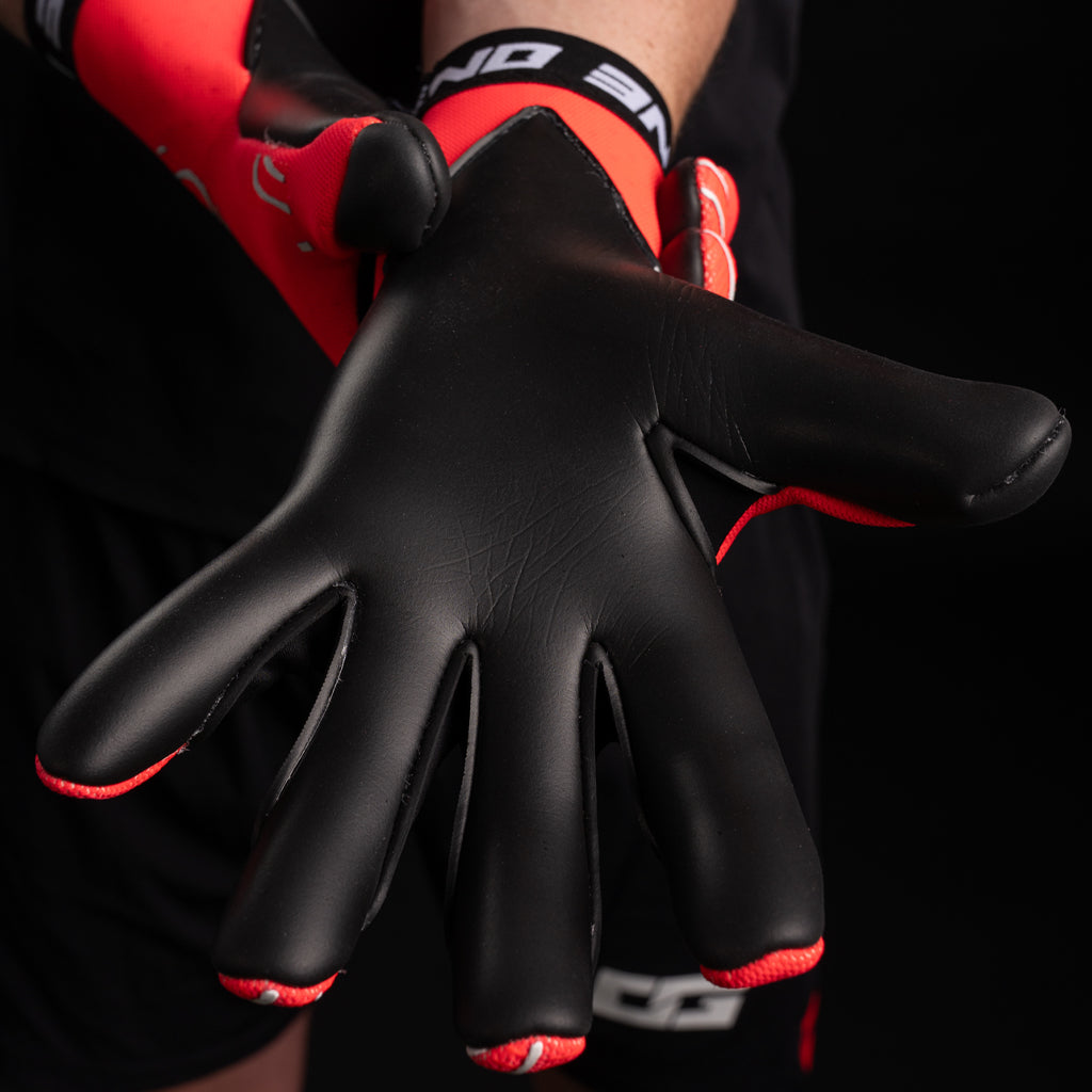 OG1 Doubter HYLA Sl Junior